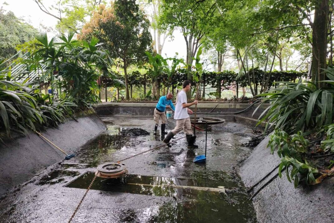 Personas haciendo mantenimiento